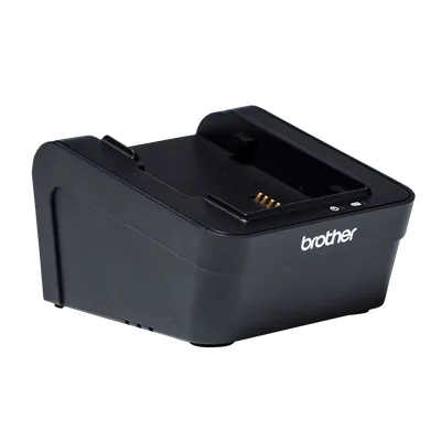 Battery Charger (angled)