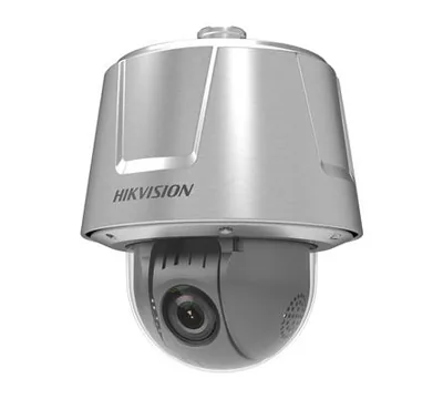 DS2DT6223AELY