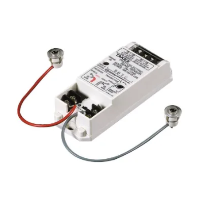 Takex Indoor/Semi-outdoor Flush Mount PE beam