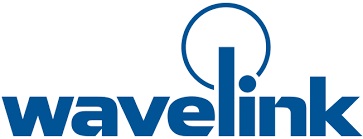 Wavelink WAVELINK TN CLIENT 4IN1 ANNUAL MAINT