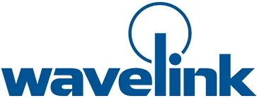 Wavelink TN CLIENT 2IN1 ANNUAL MAINT
