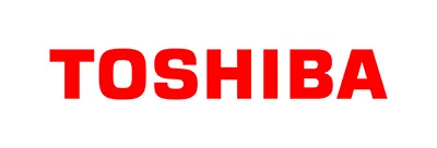 Toshiba CARE FLEX NBD 9X5 2 YR 4900-797