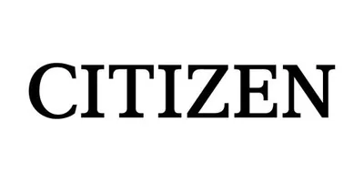 Citizen WALL4000