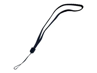 Lanyard